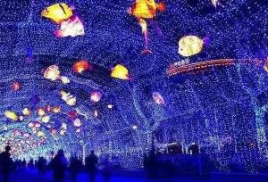 【三門峽國際光影藝術節(jié)】家門口的雜技表演和燈光秀，精彩不容錯過！